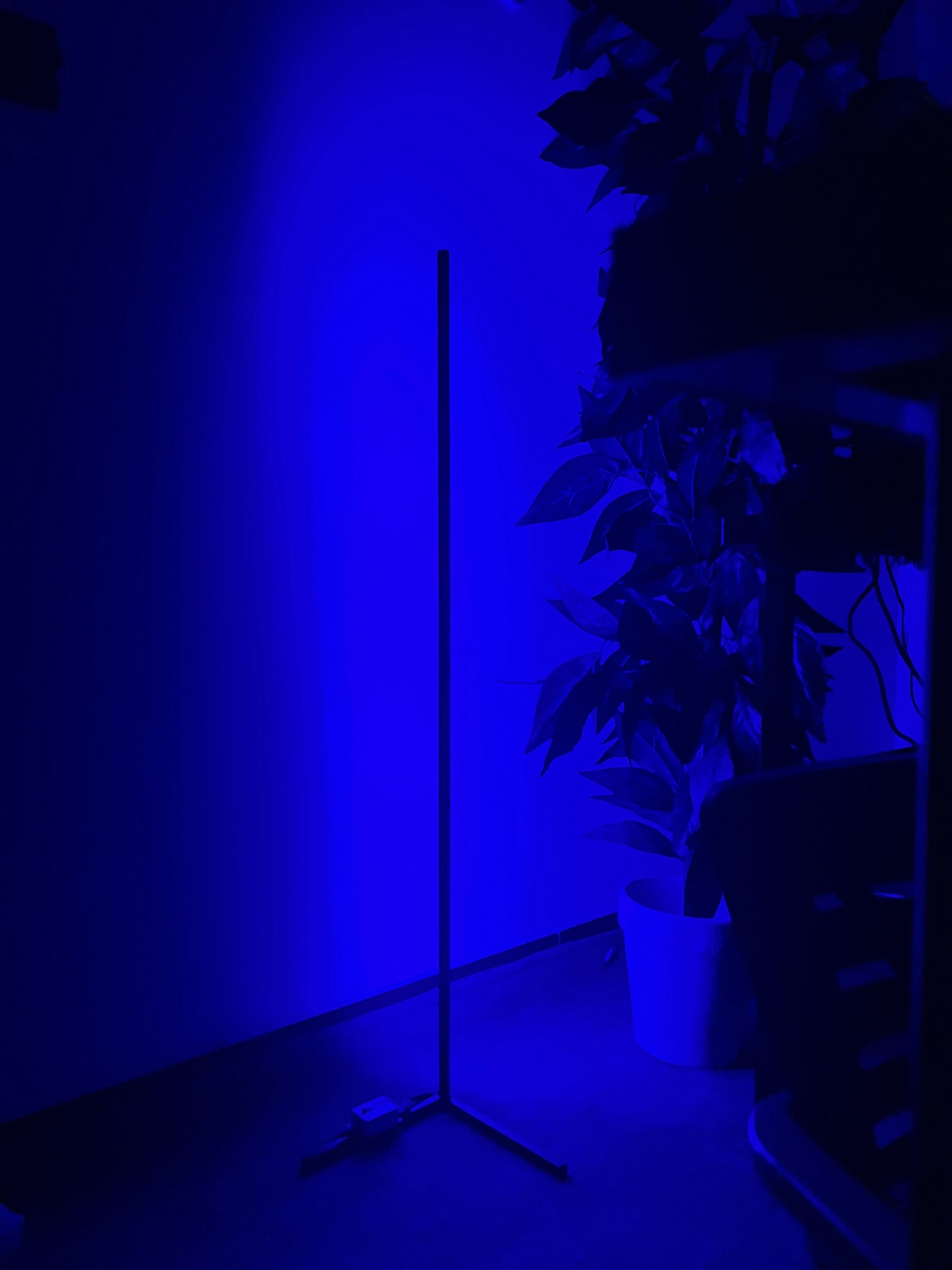 GlowCorner™ RGB Floor Lamp